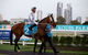 Gold Coast Turf Club - thumb 2