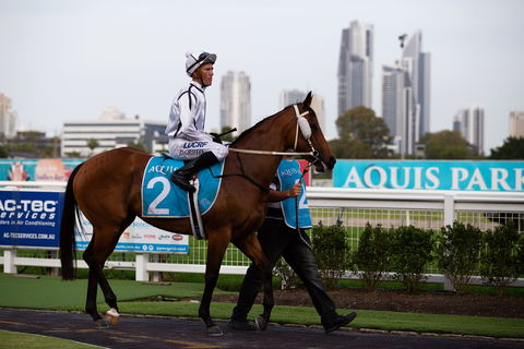 Gold Coast Turf Club - Accommodation in Bendigo 2