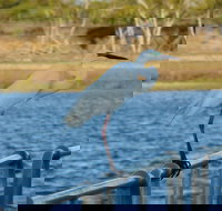 Groper Creek - Accommodation in Bendigo