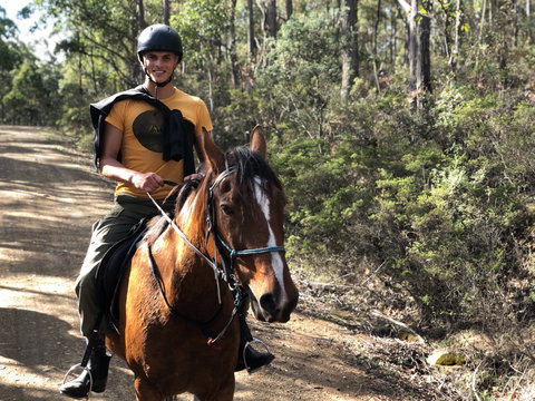 Horse Riding Tasmania - Accommodation in Bendigo 2