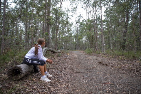 Ironbark Ridge And Spotted Gum Walking Trails - Accommodation in Bendigo 1