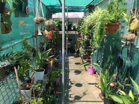 Kilcoy Craft Market - Accommodation in Bendigo 1