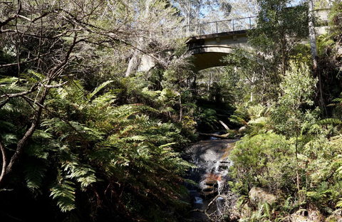 Leura Cascades - Accommodation in Bendigo 2