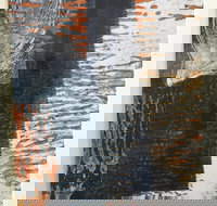 Lighthouse View - Accommodation in Bendigo