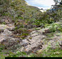 Lynchs Loop Trail - Accommodation in Bendigo