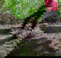 Maiala - Accommodation in Bendigo