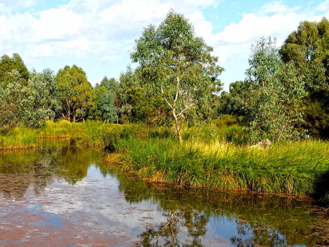 Mansfield Mullum Wetlands - Accommodation in Bendigo 0
