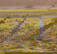 Mary River Area - Accommodation in Bendigo