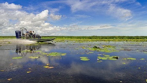 Mary River Area - Accommodation in Bendigo 2