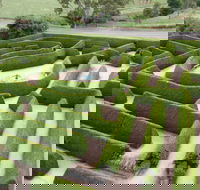 Mintaro Maze - Accommodation in Bendigo