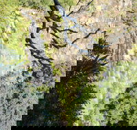 Morans Falls track Lamington National Park - Accommodation in Bendigo