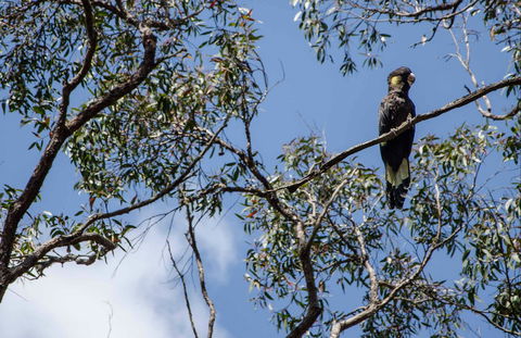 Mummel Gulf National Park - Accommodation in Bendigo 0