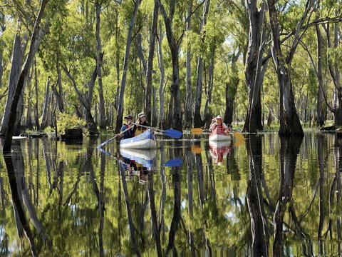 Murray River Canoe Trails - Accommodation in Bendigo 0