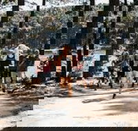 Myponga Reservoir Trail - Accommodation in Bendigo