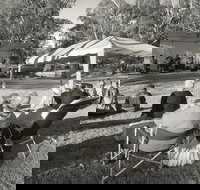 Pioneer Park - Accommodation in Bendigo