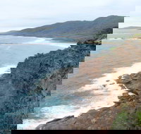 Pretty Beach to Snapper Point Walking Track