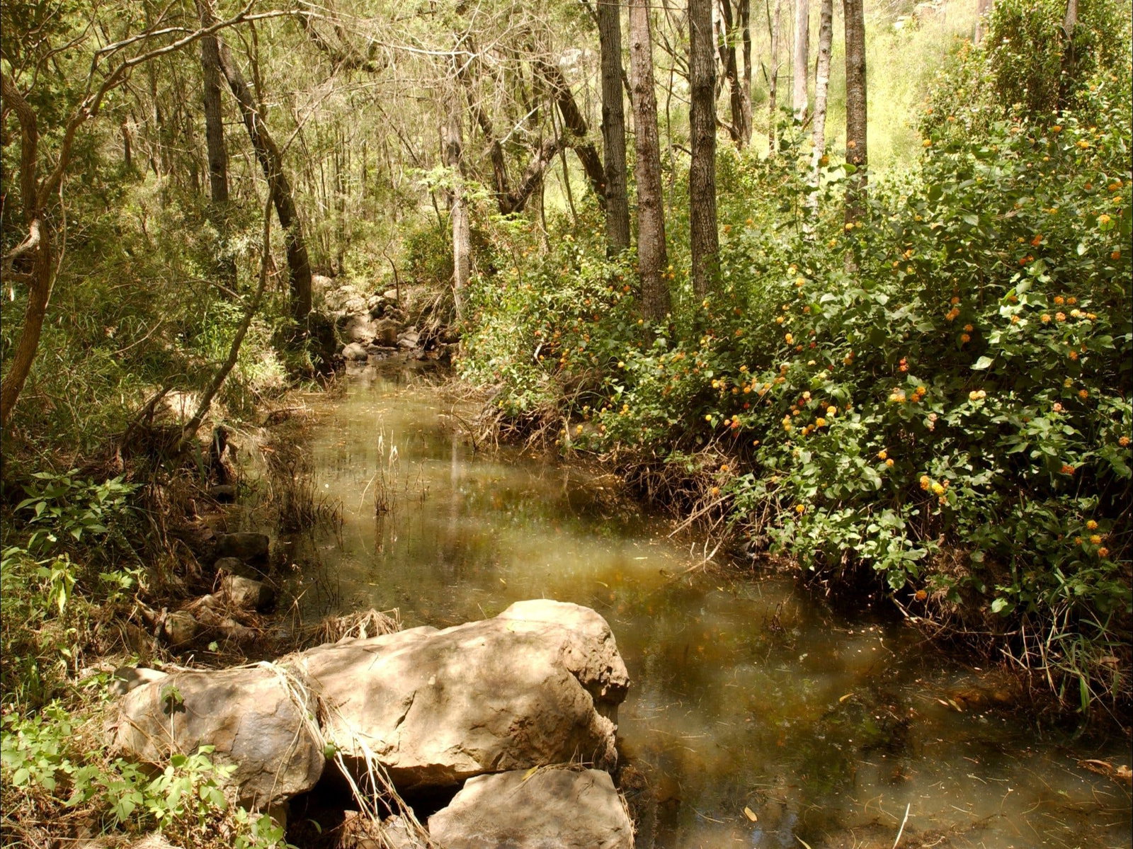  Accommodation in Bendigo