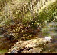 Sandy Creek Track - Accommodation in Bendigo