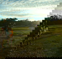 Scenic NSW Horse Riding Centre - Accommodation in Bendigo