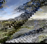 Snow Gums boardwalk - Accommodation in Bendigo