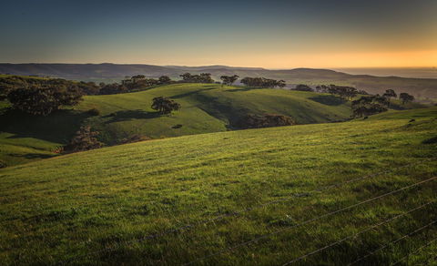 Starfish Hill Windfarm - Accommodation in Bendigo 1