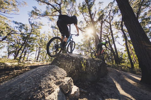 St Helens Mountain Bike Trails - Accommodation in Bendigo 1