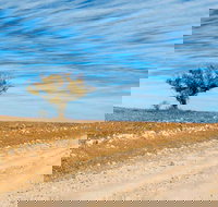 Sturts Steps Touring Route - Accommodation in Bendigo