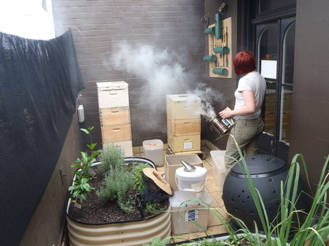 The Urban Beehive Port Botany - Accommodation in Bendigo 0