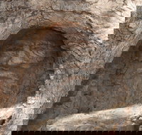 The Face Tree near Burke and Wills Dig Tree - Accommodation in Bendigo