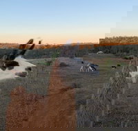 The Llama Farm - Accommodation in Bendigo