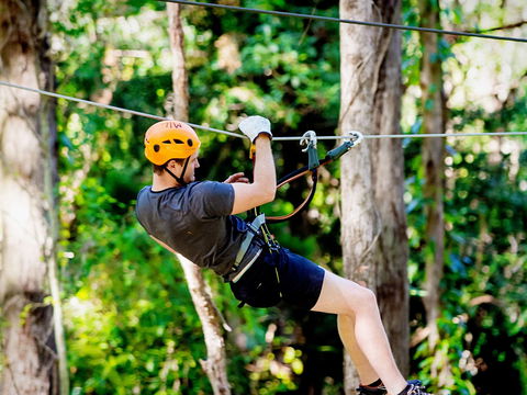 TreeTop Challenge Currumbin Wildlife Sanctuary - Accommodation in Bendigo 0