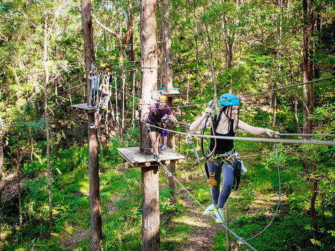 TreeTop Challenge Currumbin Wildlife Sanctuary - Accommodation in Bendigo 1