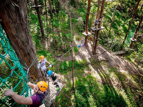 TreeTop Challenge Currumbin Wildlife Sanctuary - Accommodation in Bendigo 2