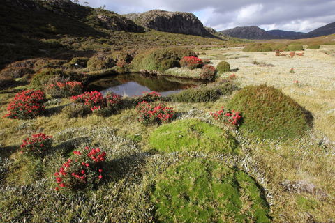 Walls Of Jerusalem National Park - Accommodation in Bendigo 1
