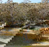 Wild Valley Art Park - Accommodation in Bendigo