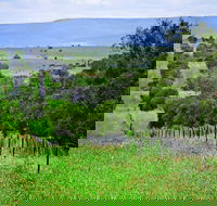 Wild Dog Barrier Fence - Accommodation in Bendigo