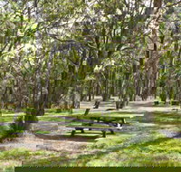 Wollomombi Gorge and Falls Picnic Area - Accommodation in Bendigo