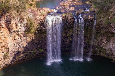 Rainforest & Waterfall Experience - Accommodation in Bendigo 1
