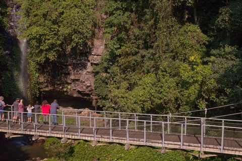 Rainforest & Waterfall Experience - Accommodation in Bendigo 4