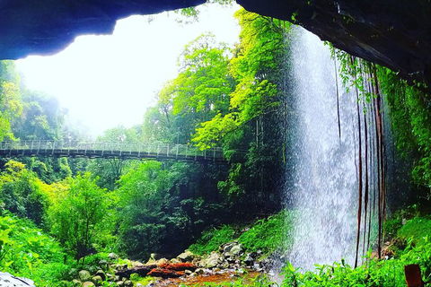 Rainforest & Waterfall Experience - Accommodation in Bendigo 6