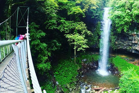Rainforest & Waterfall Experience - Accommodation in Bendigo 0