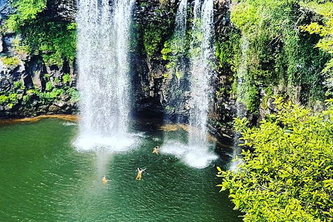 Rainforest & Waterfall Experience - Accommodation in Bendigo 2