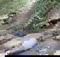 Bomaderry Creek Regional Park - Accommodation in Bendigo