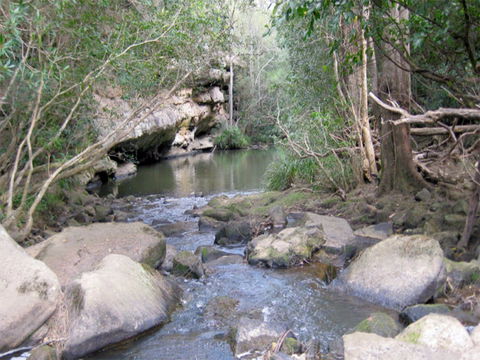 Bomaderry Creek Regional Park - Accommodation in Bendigo 0