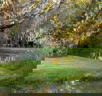 Gateway Island Parklands - Accommodation in Bendigo