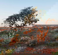 Merton Motor Trail - Accommodation in Bendigo