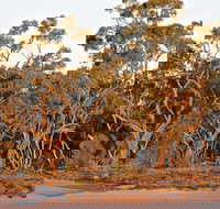 Yawura Yarun - Accommodation in Bendigo