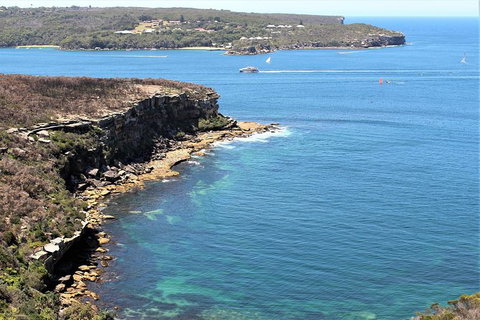 Half Day Manly Beach And More - Accommodation in Bendigo 9