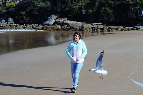 Half Day Manly Beach And More - Accommodation in Bendigo 6