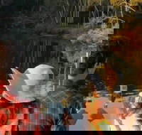 Sunset Eco Rainforest River Cruise - Accommodation in Bendigo